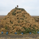biike 2008