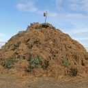 2011_biike_01