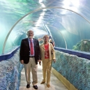 Aquarium_02