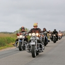 HARLEY_2013_10