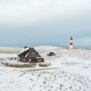 Ellenbogen_780_01