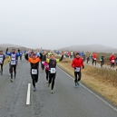 Syltlauf_1601