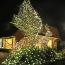 Weihnachten_2019_22