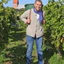 Weinlese_01