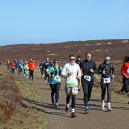 43. Syltlauf 2026_10