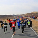 SYLTLAUF_13_01