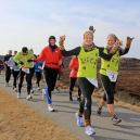 SYLTLAUF_13_02