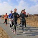 SYLTLAUR_13_11