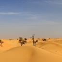 ABU DHABI_33
